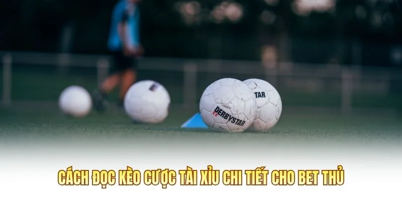 Cách đọc kèo cược tài xỉu chi tiết cho bet thủ
