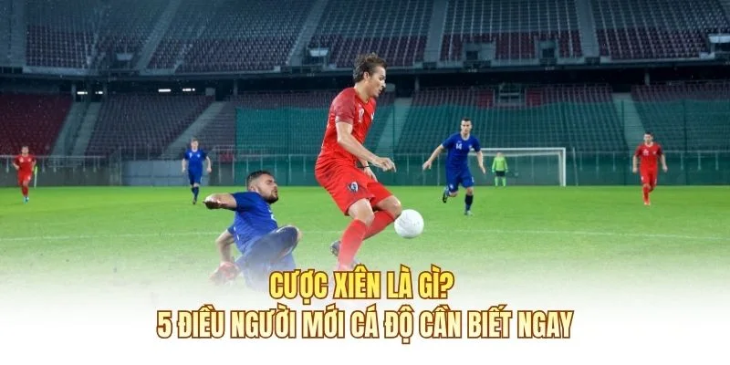 Cược Xiên Là Gì? 5 Điều Người Mới Cá Độ Cần Biết Ngay