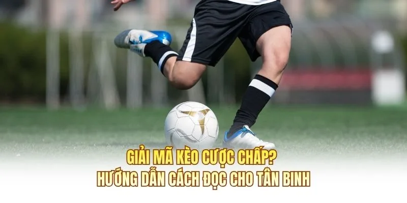 Giải Mã Kèo Cược Chấp? Hướng Dẫn Cách Đọc Cho Tân Binh