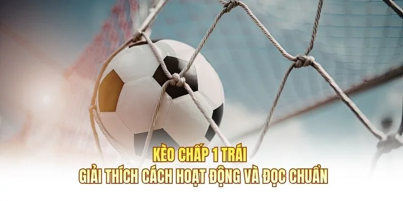 Kèo Chấp 1 Trái – Giải Thích Hoạt Động Và Đọc Chuẩn