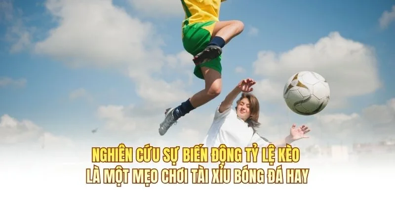 Nghiên cứu sự biến động tỷ lệ kèo là một mẹo chơi Tài Xỉu Bóng Đá hay