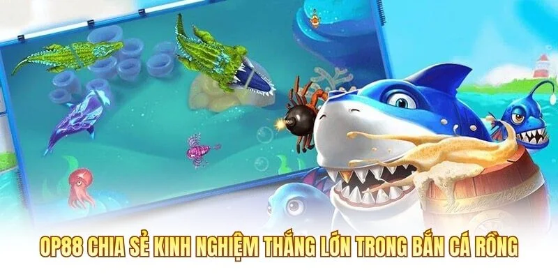 OP88 chia sẻ kinh nghiệm thắng lớn trong Bắn Cá Rồng