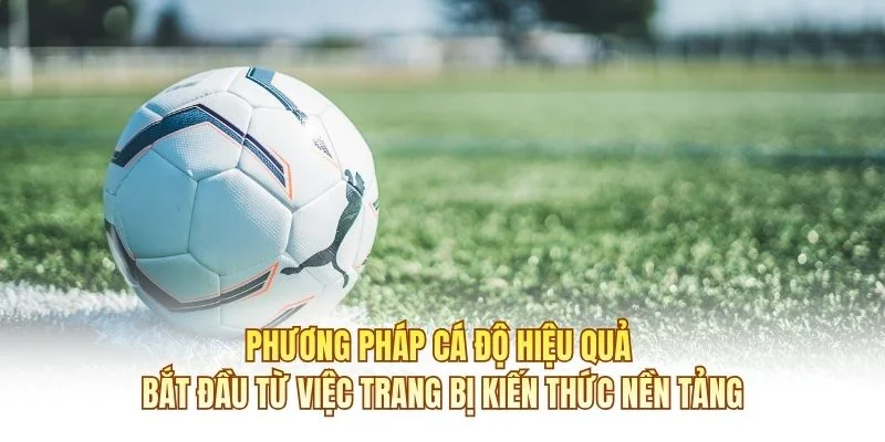 Phương pháp cá độ hiệu quả bắt đầu từ việc trang bị kiến thức nền tảng