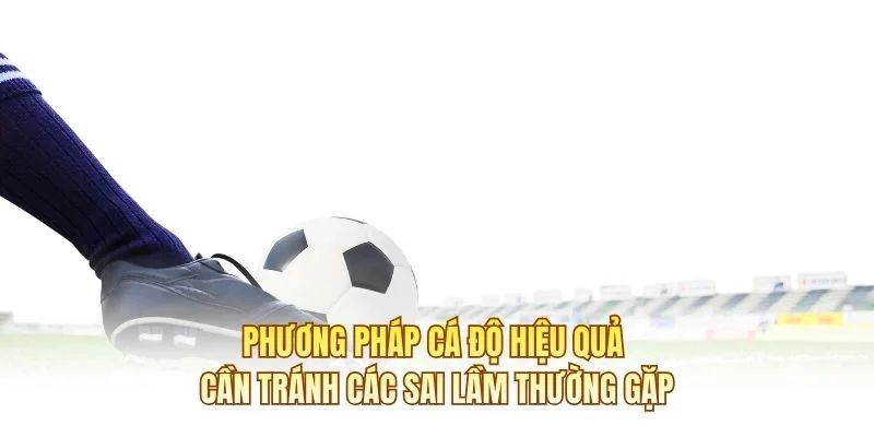 Phương pháp cá độ hiệu quả cần tránh các sai lầm thường gặp