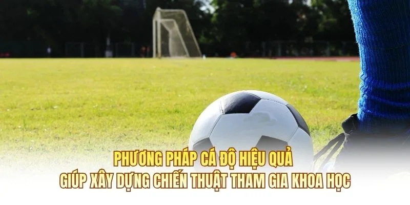 Phương pháp cá độ hiệu quả giúp xây dựng chiến thuật tham gia khoa học