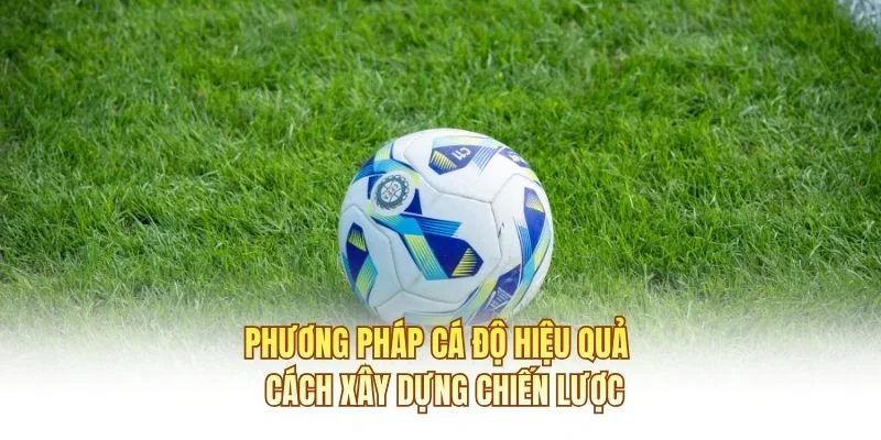 Phương Pháp Cá Độ Hiệu Quả – Cách Xây Dựng Chiến Lược