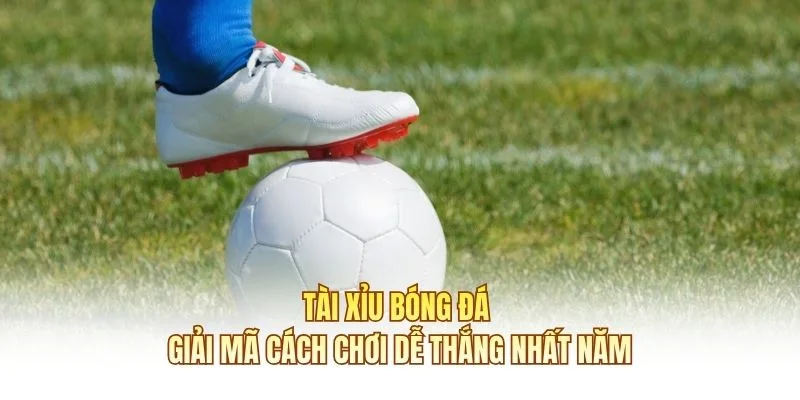 Tài Xỉu Bóng Đá - Giải Mã Cách Chơi Dễ Thắng Nhất Năm