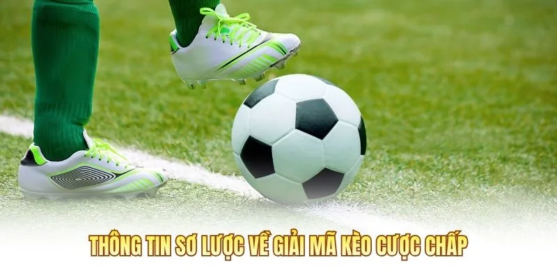 Thông tin sơ lược về giải mã kèo cược chấp