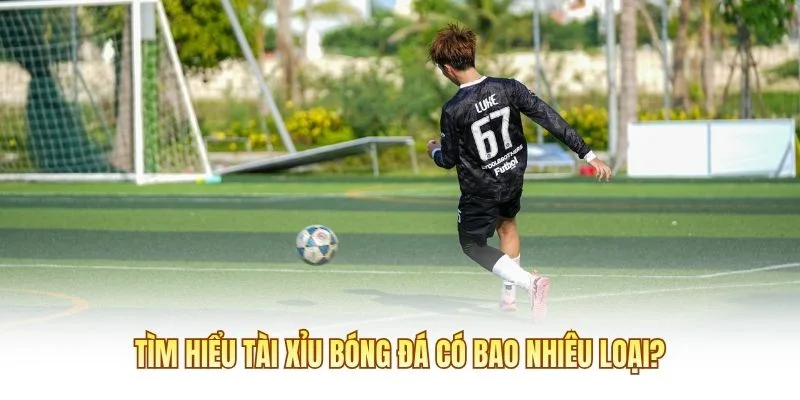 Tìm hiểu Tài Xỉu Bóng Đá có bao nhiêu loại?