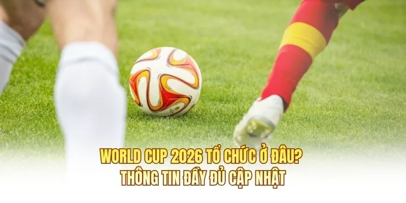 World Cup 2026 Tổ Chức Ở Đâu? Thông Tin Đầy Đủ Cập Nhật